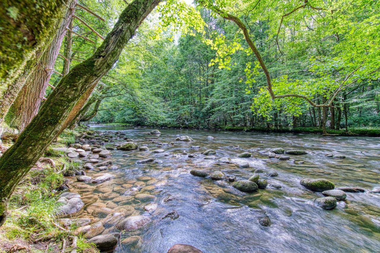 Moose Lodge II Sevierville Dış mekan fotoğraf